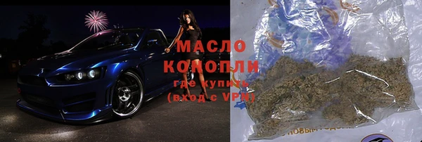 дживик Елабуга