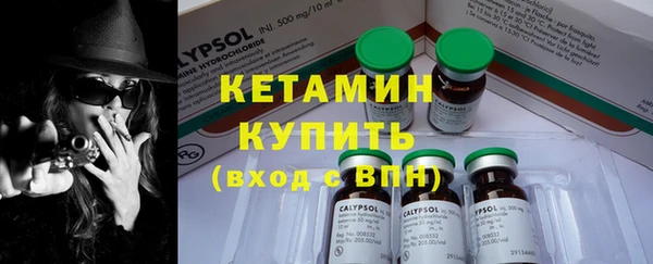 крисы Дмитриев