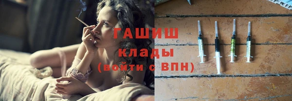 стаф Елизово