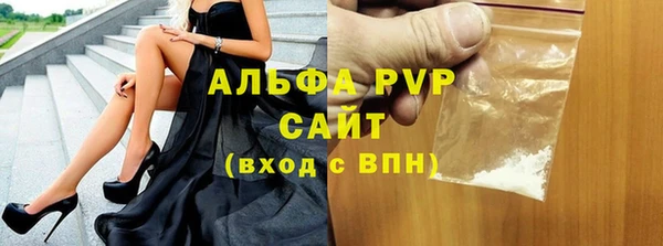 стаф Елизово