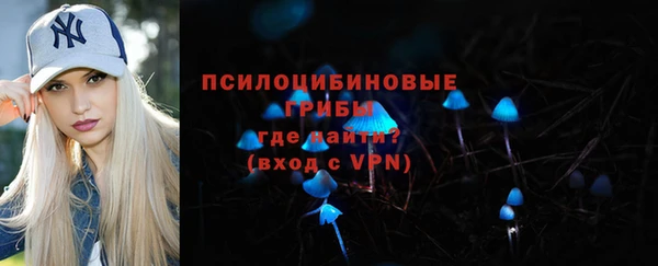 стаф Елизово
