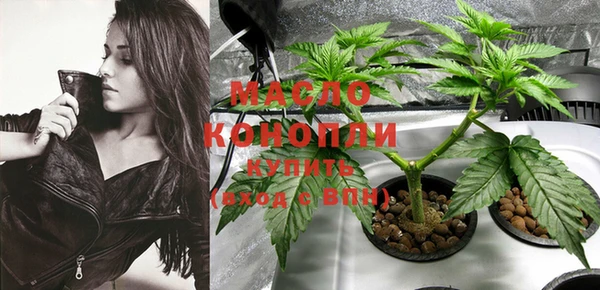 дживик Елабуга