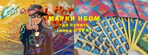 дживик Елабуга
