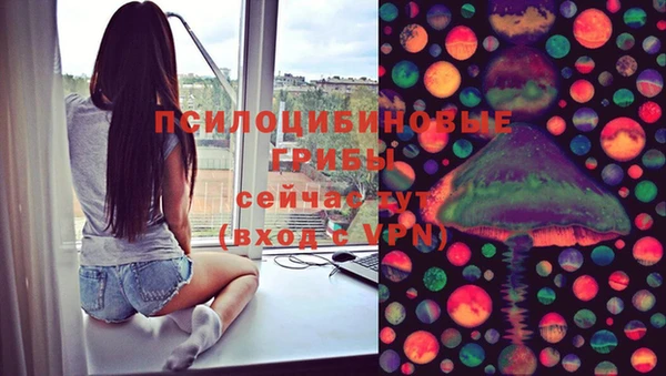 стаф Дмитровск
