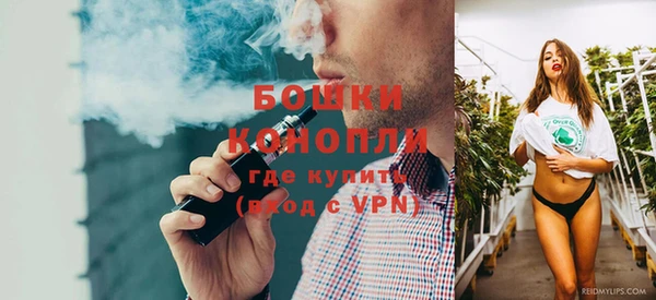 дживик Елабуга