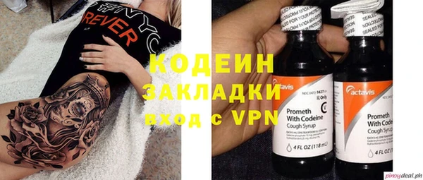 дживик Елабуга
