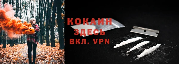 стаф Елизово