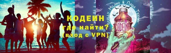 стаф Елизово