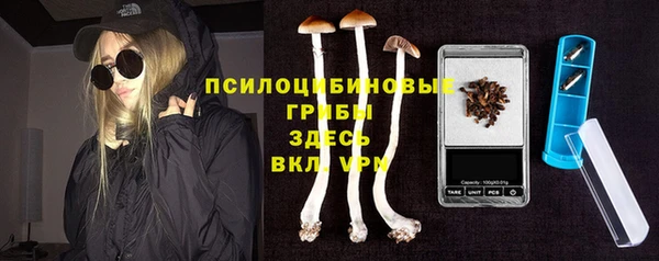 дживик Елабуга